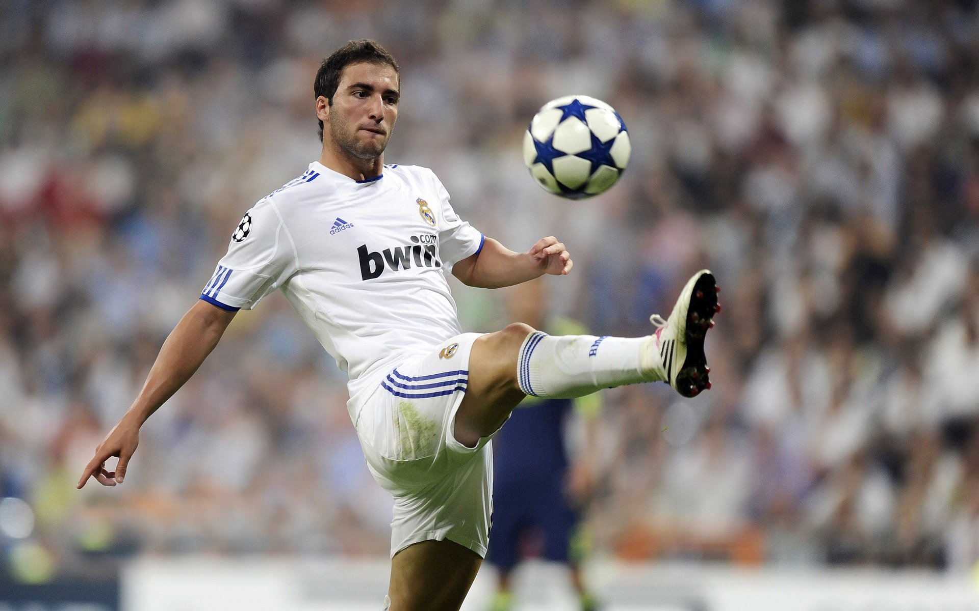 绿军新援亮相即有爆发，球队士气提升，绿军最新阵容